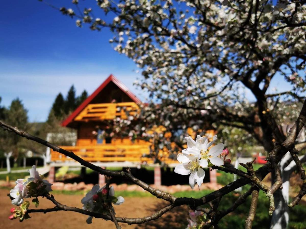 Wooden House "Una" Kulen Vakuf Dış mekan fotoğraf